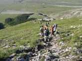 Clicca per ingrandire
