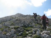 Clicca per ingrandire