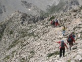 Clicca per ingrandire