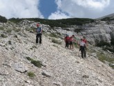 Clicca per ingrandire