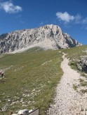 Clicca per ingrandire
