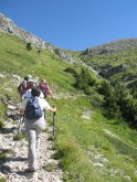 Clicca per ingrandire