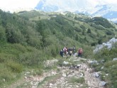 Clicca per ingrandire