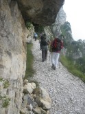 Clicca per ingrandire