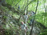 Clicca per ingrandire
