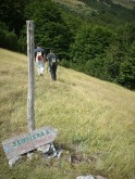 Clicca per ingrandire