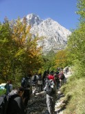 Clicca per ingrandire