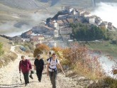 Clicca per ingrandire