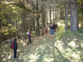 Clicca per ingrandire