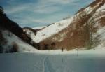 Clicca per ingrandire