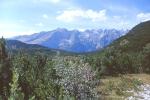 Clicca per igrandire