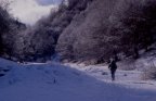 Clicca per igrandire