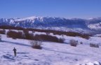 Clicca per igrandire