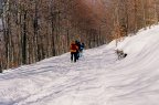 Clicca per igrandire