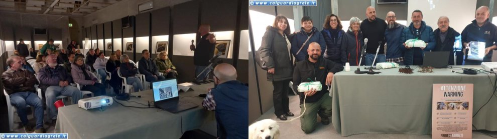 Il cane pastorale Abruzzese