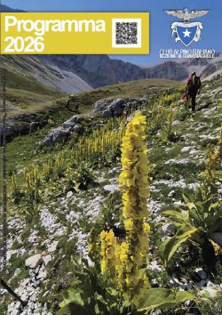 Link al Programma 2026